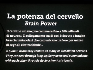 educazioneglobale Brain Power