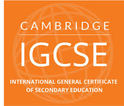 educazioneglobale licei IGCSE